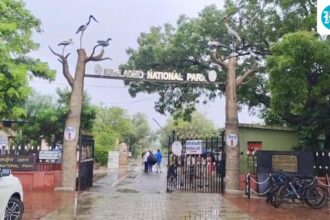 rajasthan’s-keoladeo-national-park-is-facing-a-water-crisis-as-the-panchana-dam’s-supply-dries-up