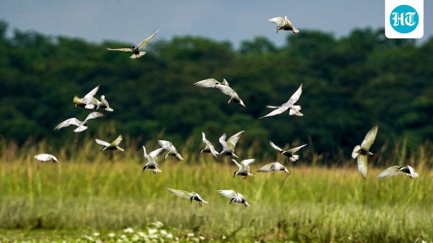 top-wildlife-body-maintains-high-approval-rate-for-projects-in-10-years