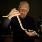 ‘monsters-of-god’-review:-‘tiger-king’-director’s-hbo-docuseries-about-reptile-trafficking-is-(relatively)-sober-and-nuanced