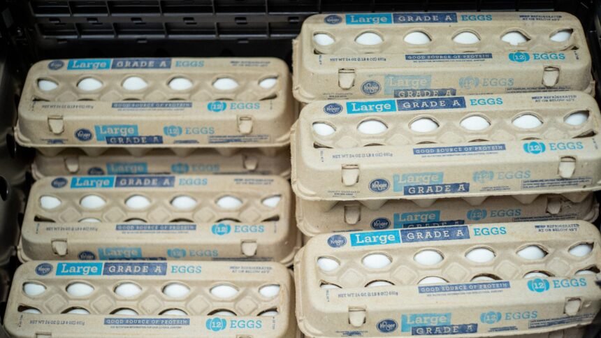 egg-recall-2026:-see-the-full-list-of-affected-brands-and-states