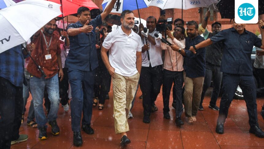 rahul-gandhi-reveals-his-favourite-bjp-leader:-‘get-along-with-him,-he’s-cool’