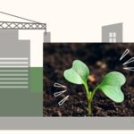 how-india’s-law-on-retrospective-environmental-clearances-evolved-—-and-where-it-stands-now