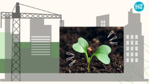 how-india’s-law-on-retrospective-environmental-clearances-evolved-—-and-where-it-stands-now