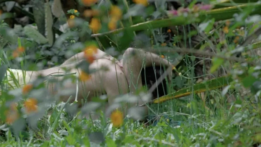 ‘spring-story,’-‘the-surubi,’-‘yazz’-among-locarno-pro-winners