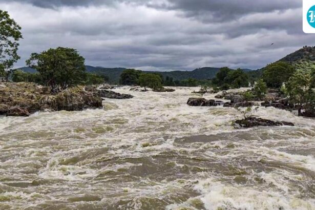 cauvery-water-row:-sc-to-hear-tamil-nadu’s-plea-seeking-karnataka’s-compliance-on-august-13