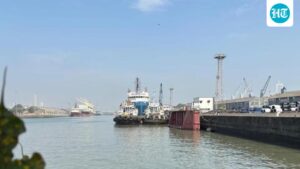 india-adds-11-ports-to-e-visa-network,-taking-total-entry-points-to-88