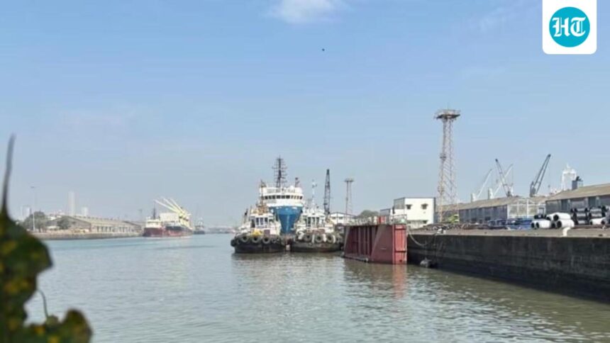 india-adds-11-ports-to-e-visa-network,-taking-total-entry-points-to-88