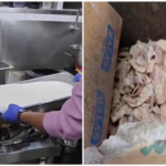 meat-with-fungus,-rotten-veggies-found-at-5-bengaluru-hotels-during-karnataka-fda-checks-|-see-list