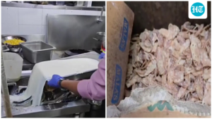 meat-with-fungus,-rotten-veggies-found-at-5-bengaluru-hotels-during-karnataka-fda-checks-|-see-list