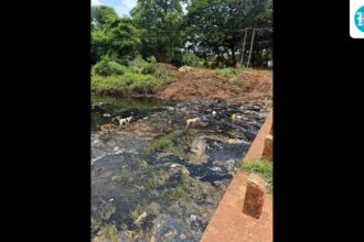 3-bidar-factories-to-be-shut-amid-water-pollution-charges