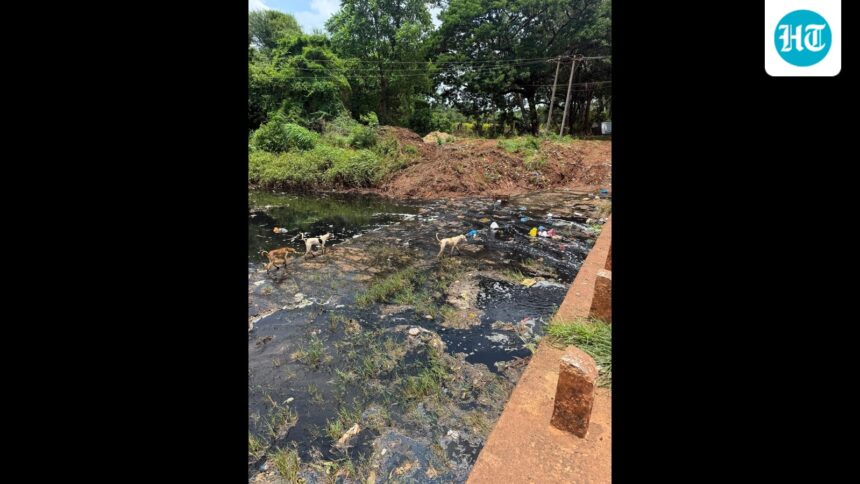 3-bidar-factories-to-be-shut-amid-water-pollution-charges