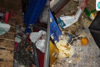 zepto-warehouse-sealed-in-bengaluru’s-hoskote-over-violations:-‘unhygienic-food,-non-compliant-labelling,-misbranding’