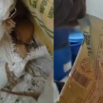 fda-inspects-indira-canteens-in-bengaluru-after-‘rats-found’-in-kitchens