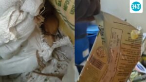 fda-inspects-indira-canteens-in-bengaluru-after-‘rats-found’-in-kitchens