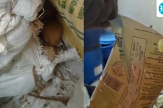 fda-inspects-indira-canteens-in-bengaluru-after-‘rats-found’-in-kitchens