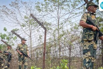 suspected-pakistani-national-among-two-held-by-west-bengal-stf-at-india-bangladesh-border