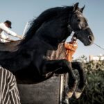ny-film-festival-sets-currents-lineup-led-by-‘bardi’-world-premiere