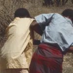 ‘accept-my-plea-for-burial’-will-explore-moral-conflicts-of-ordinary-people-through-a-somali-lens