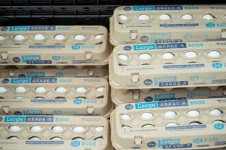 egg-recall-2026:-see-the-full-list-of-affected-brands-and-states