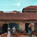 historicity|-the-long-history-of-the-‘lungi’:-from-ancient-india-to-parliament