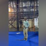 snake-found-at-shahrukh-khan’s-residence-in-mumbai,-rescued