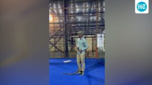 snake-found-at-shahrukh-khan’s-residence-in-mumbai,-rescued