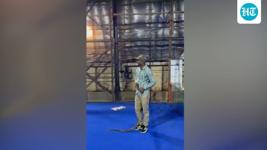snake-found-at-shahrukh-khan’s-residence-in-mumbai,-rescued