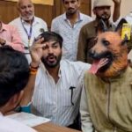‘we-are-being-defamed’:-man-who-became-dog-to-protest-over-stray-menace-in-mp’s-khandwa