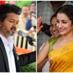 why-the-dmk-furore-over-vijay-greeting-trisha-at-independence-day-event?