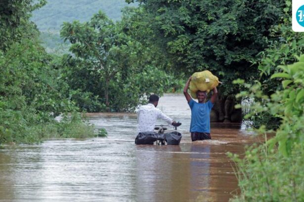 back-to-back-floods:-how-a-relentless-monsoon-is-testing-odisha