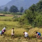 odisha-plans-to-scrap-revenue-clearance-for-urban-land-use-conversion