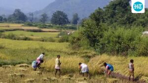 odisha-plans-to-scrap-revenue-clearance-for-urban-land-use-conversion