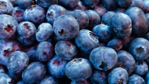 publix-blueberry-recall:-which-blueberries-were-taken-off-shelves?