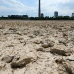 vast-swathes-of-farmlands-still-short-of-rain-despite-late-spells