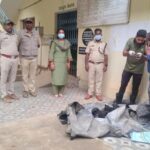 3-detained-for-burning-leopard-caught-in-snare-in-karnataka’s-tumakuru:-official