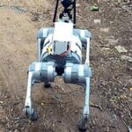 ttd-may-deploy-robodog-to-track-wildlife,-protect-devotees-on-tirumala-hills