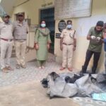leopard-burnt-alive-after-getting-trapped-in-farm-snare-in-karnataka,-3-arrested