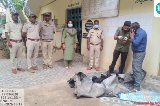 leopard-burnt-alive-after-getting-trapped-in-farm-snare-in-karnataka,-3-arrested