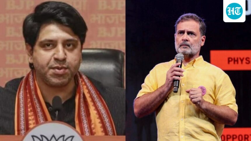‘you-endorse-misogyny,-cut-the-crap’:-shehzad-poonawalla-joins-bjp-attack-on-rahul-gandhi’s-‘smash-patriarchy’-call