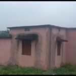 pangolin-rescued-from-govt-building-in-odisha’s-nuapada,-3-arrested