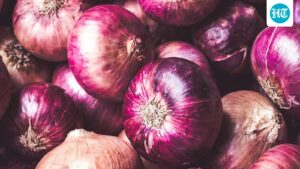 centre-highlights-‘kanda-express’-move-as-congress-slams-‘skyrocketing’-onion-prices