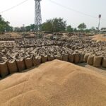 wheat-export-ban-lifted,-but-high-prices-may-limit-shipments