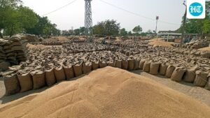 wheat-export-ban-lifted,-but-high-prices-may-limit-shipments