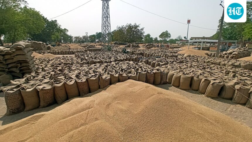 wheat-export-ban-lifted,-but-high-prices-may-limit-shipments