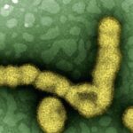 delhi-cm-calls-emergency-meet-over-h1n1-spread-as-3,000-cases-reported-so-far;-health-minister-says-‘under-control’
