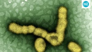 delhi-cm-calls-emergency-meet-over-h1n1-spread-as-3,000-cases-reported-so-far;-health-minister-says-‘under-control’