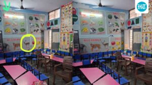 ‘vegitables’-and-‘dear’:-sad-mocks-aap-over-spelling-errors-in-punjab-classroom