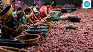 first-‘kanda-express’-with-800-tonnes-of-onions-to-reach-delhi-tomorrow,-to-be-sold-at-₹35/kg