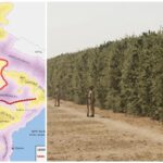 when-the-british-built-a-4,000-km-wall-of-thorns-across-india-to-tax-a-kitchen-ingredient