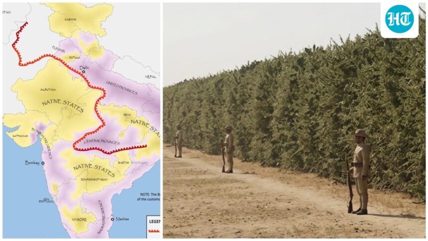 when-the-british-built-a-4,000-km-wall-of-thorns-across-india-to-tax-a-kitchen-ingredient
